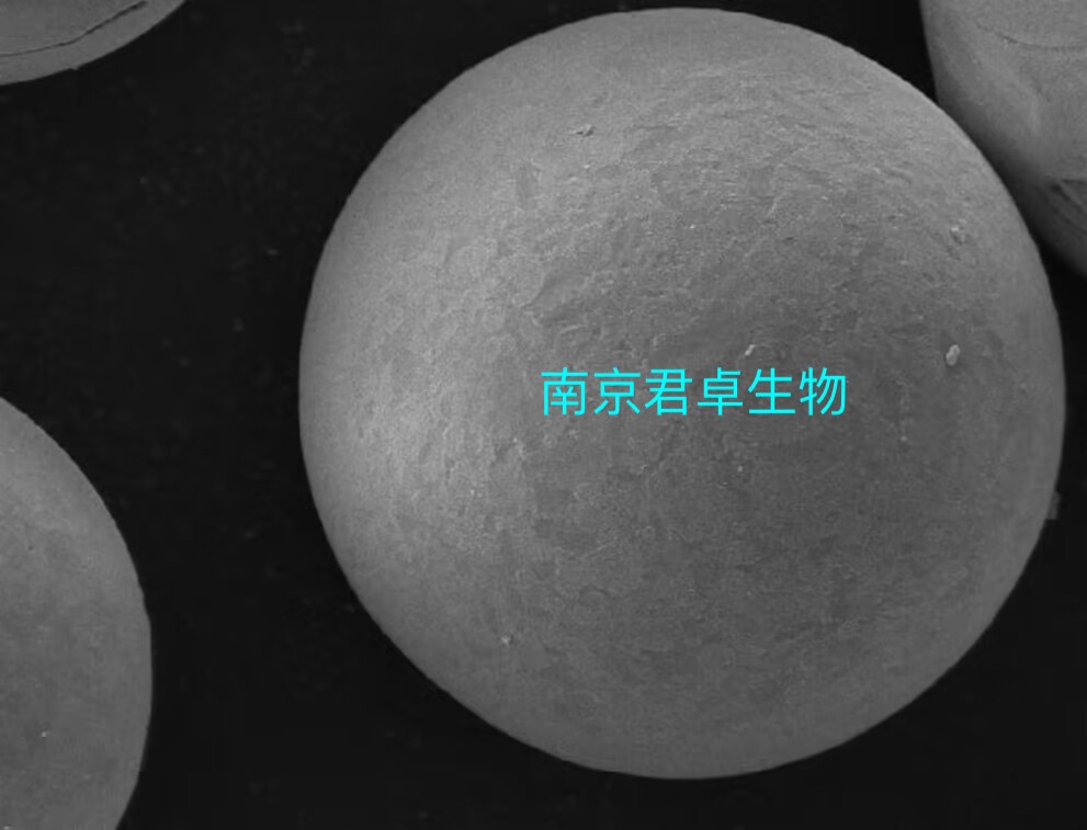 南京君卓羟基磷灰石微球光滑球.jpg