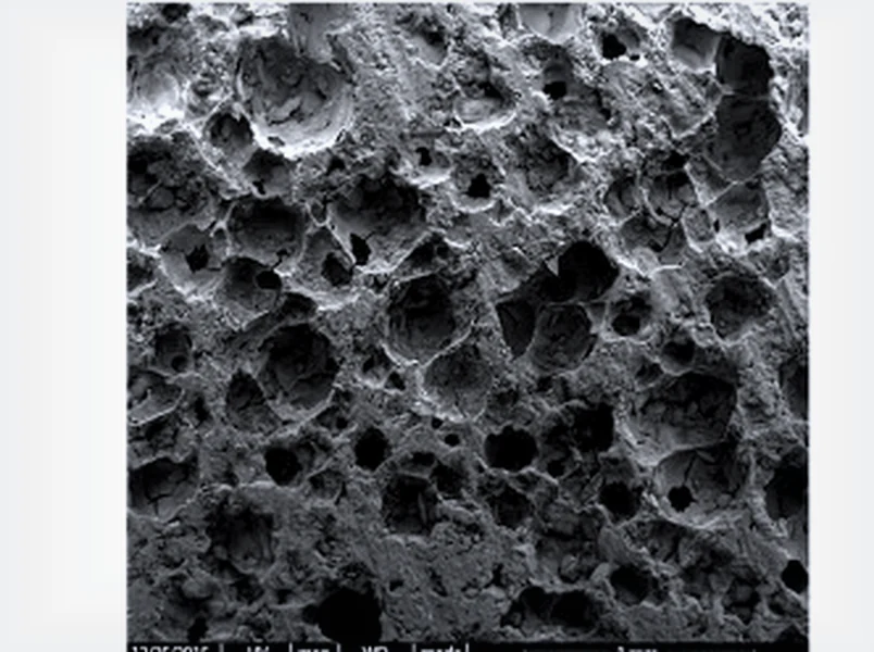 Microscopic image of porous BCP structure
