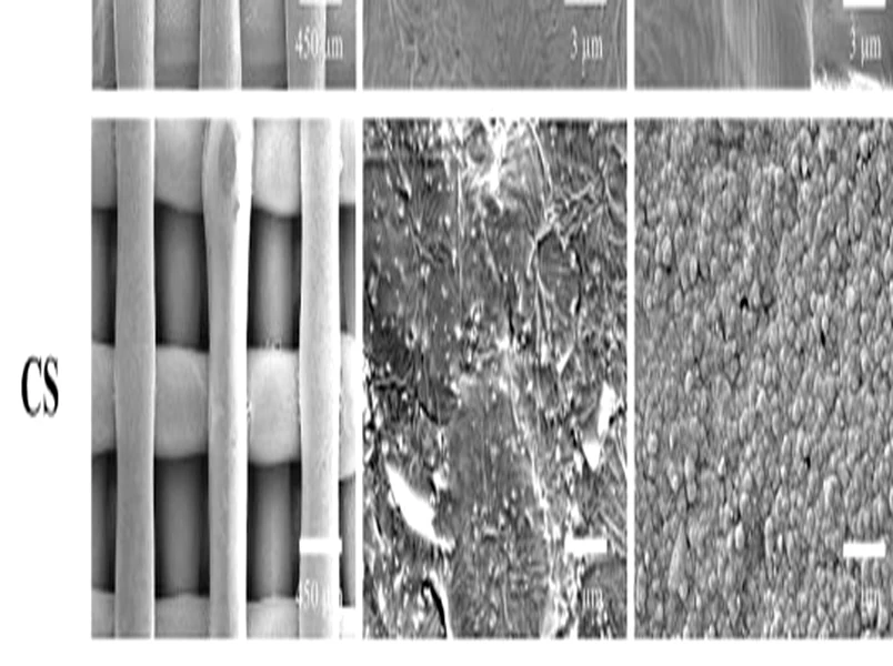 Microscopic image of calcium silicate bone-repair material