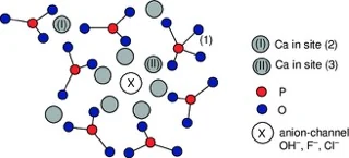 羟基磷灰石（HAp）是什么？