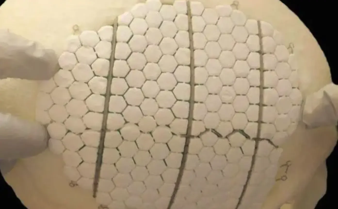 Bioceramic Materials