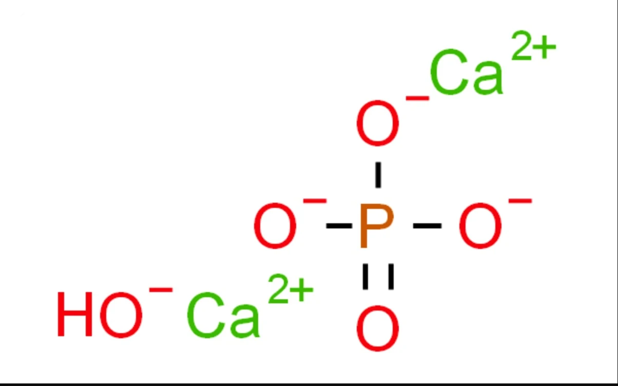 CaHA与HAP究竟有哪些不同
