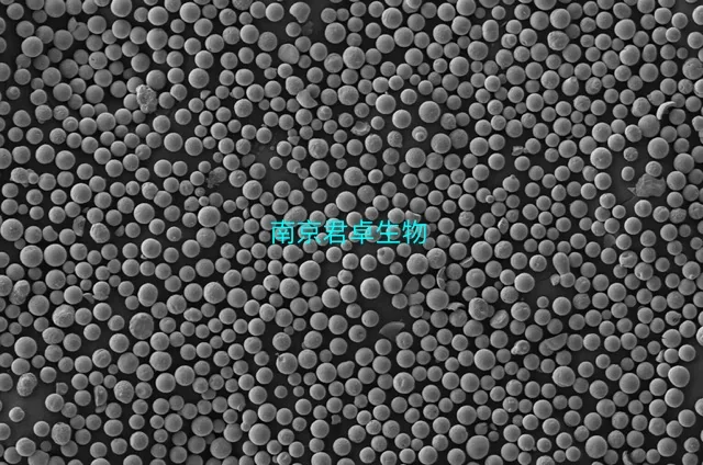 羟基磷灰石微球显微图像