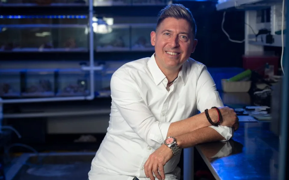 研究人员在实验室环境中的工作场景