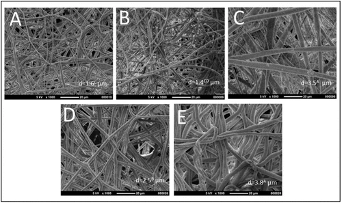 Scanning electron micrographs of five electrospun PLLA membranes, including pure PLLA and four calcium phosphate composites