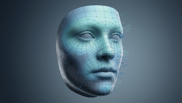 3D面部表面拓扑与矢量位移测量示意