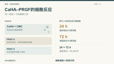 CaHA与两种PRGF制备物及24和72小时细胞评价的原创研究设计图解